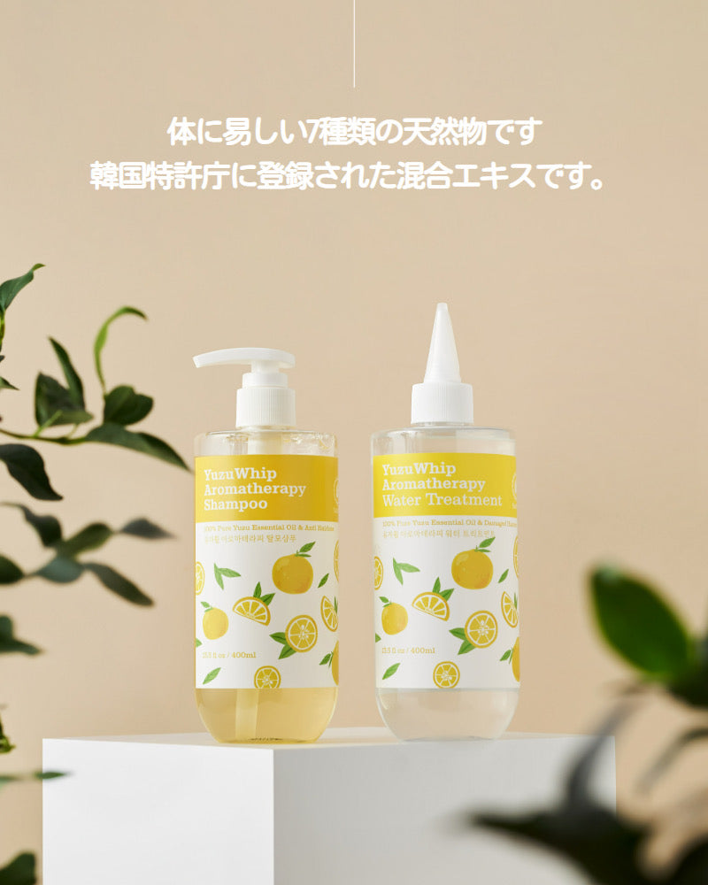 韓国NATURAL&FUN [韓国ヘアパック]ゆずホイップ アロマテラピーウォータートリートメント 400ml・PDRNトリートメント