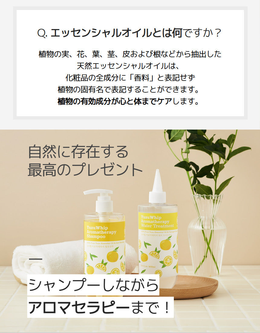 韓国NATURAL&FUN [韓国ヘアパック]ゆずホイップ アロマテラピーウォータートリートメント 400ml・PDRNトリートメント