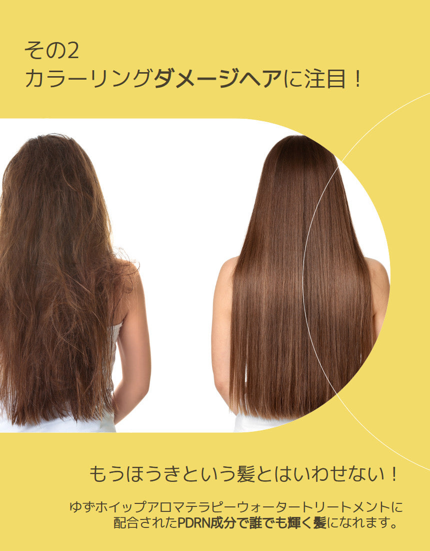 韓国NATURAL&FUN [韓国ヘアパック]ゆずホイップ アロマテラピーウォータートリートメント 400ml・PDRNトリートメント